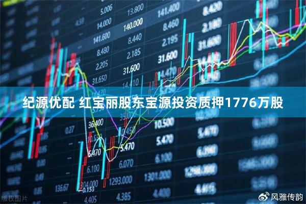 纪源优配 红宝丽股东宝源投资质押1776万股
