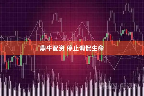 鼎牛配资 停止调侃生命